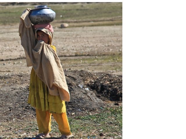 Domestic child labour